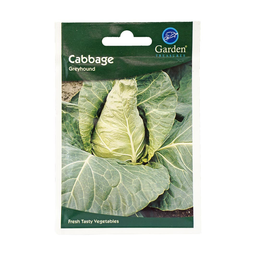 Cabbage (Greyhound) Seeds (90p each or 5 for £4)