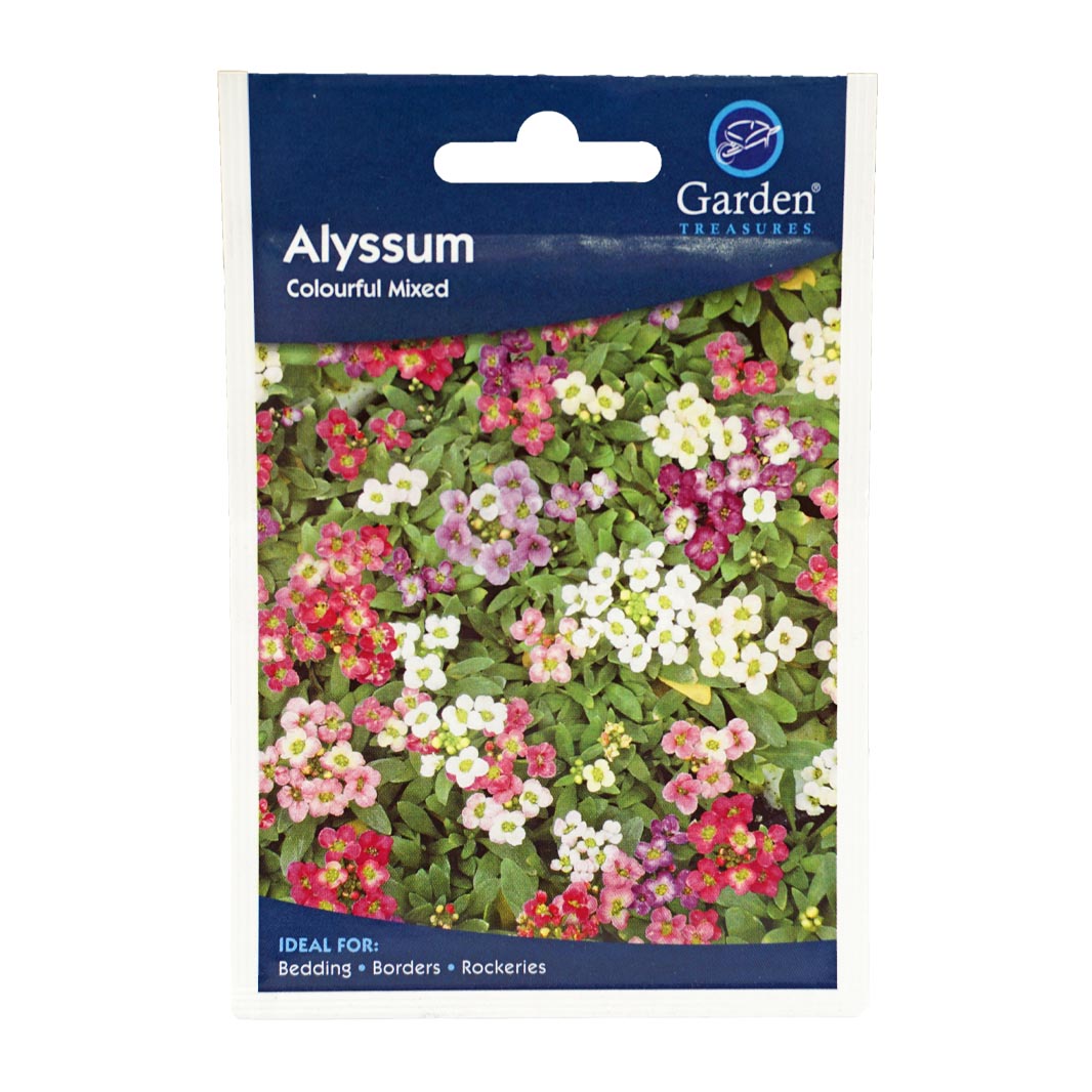 Alyssum Colourful Flower Mix Seeds (90p each or 5 for £4)