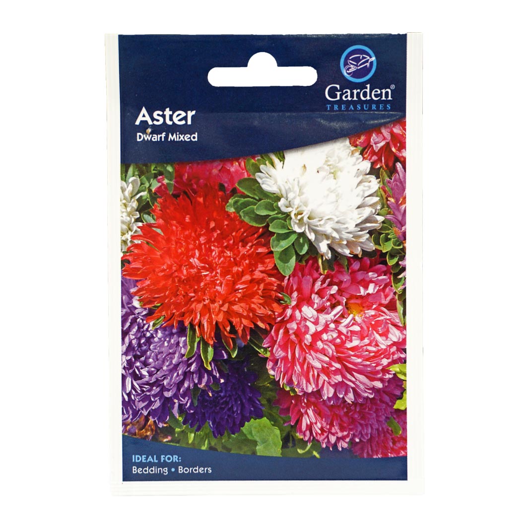 Aster (Dwarf) Flower Mix Seeds (90p each or 5 for £4)