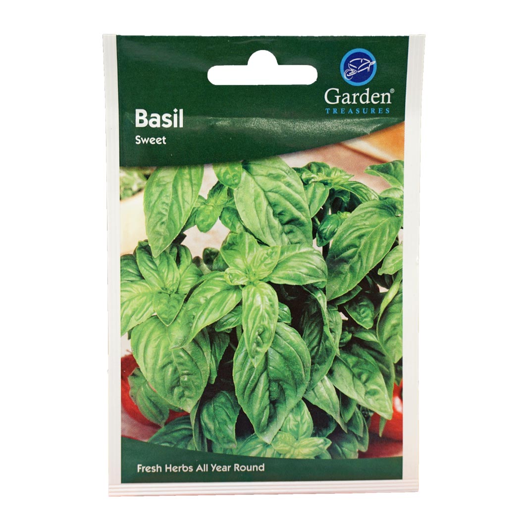 Basil (Sweet) Seeds (90p each or 5 for £4)