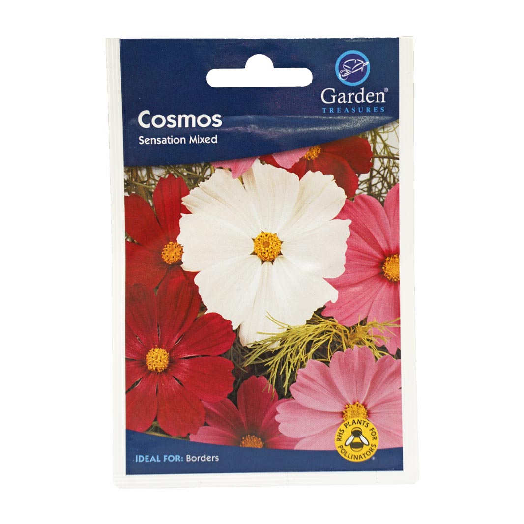 Cosmos (Sensation) Flower Mix Seeds (90p each or 5 for £4)