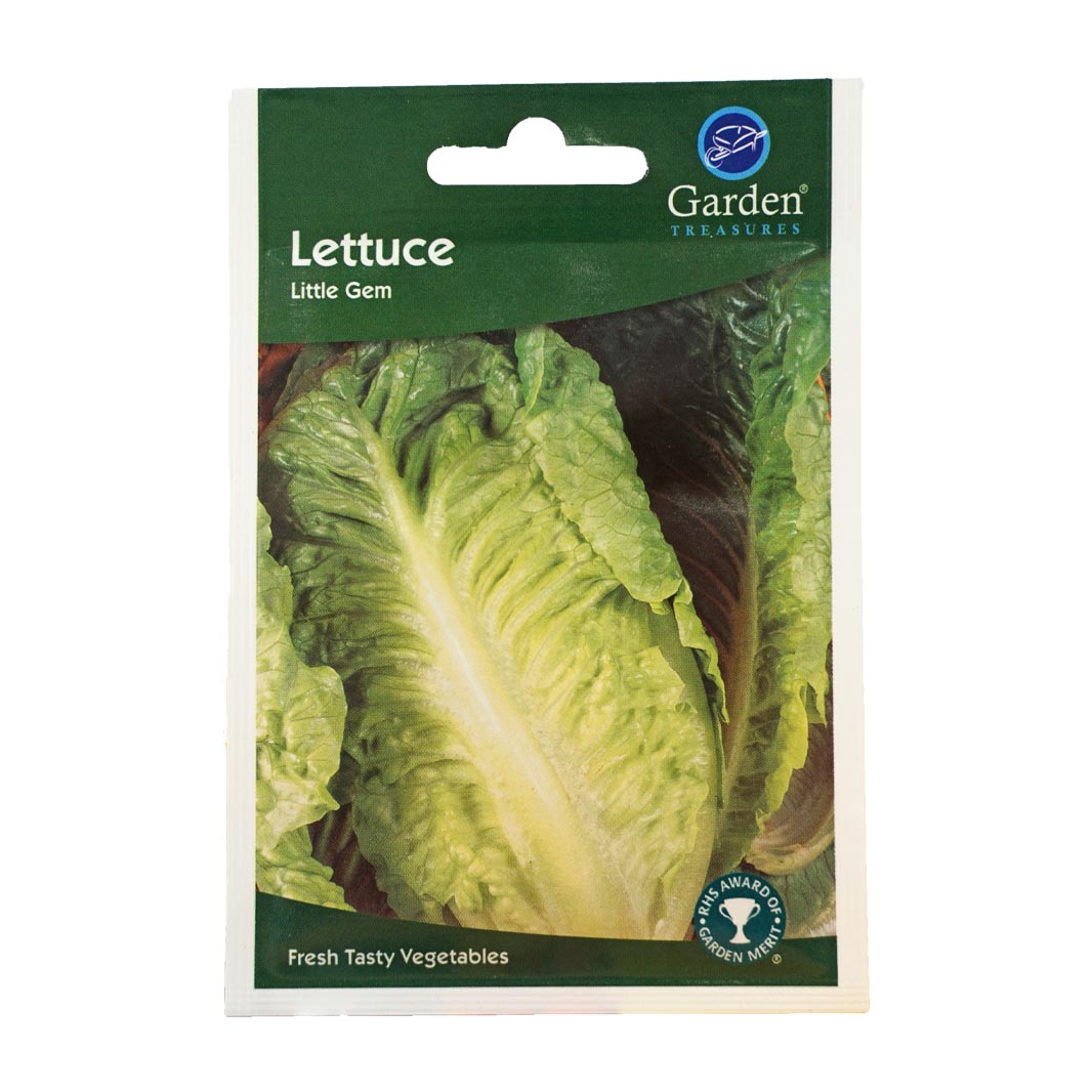 Lettuce (Little Gem) Seeds (90p each or 5 for £4)