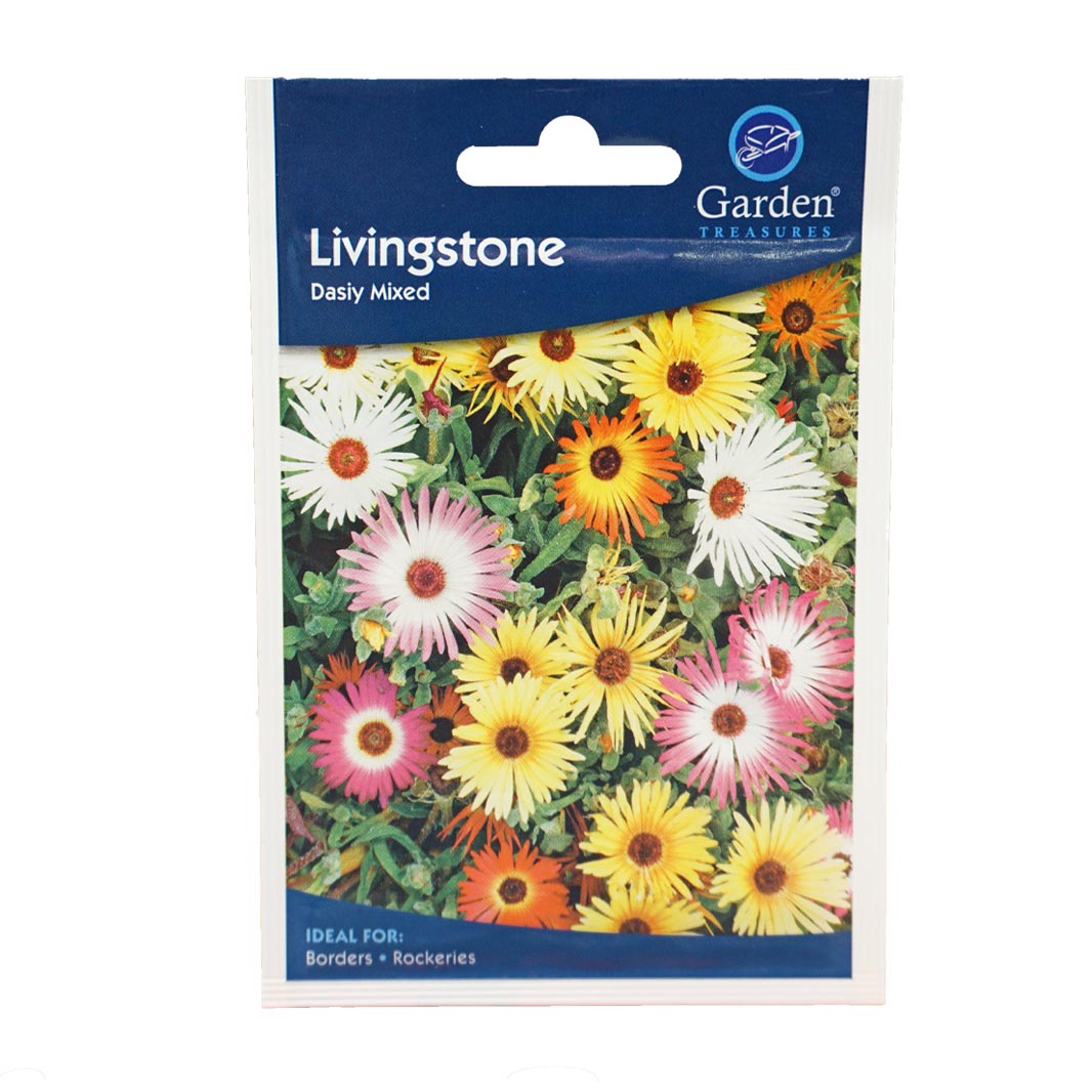 Livingstone Daisy Flower Mix Seeds (90p each or 5 for £4)