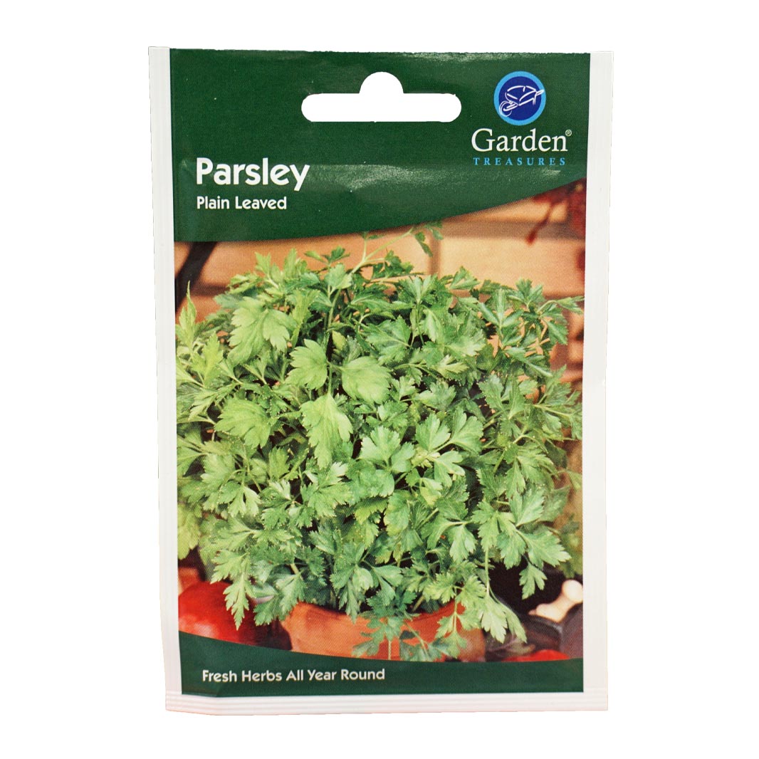 Parsley (Plain Leaved) Seeds (90p each or 5 for £4)