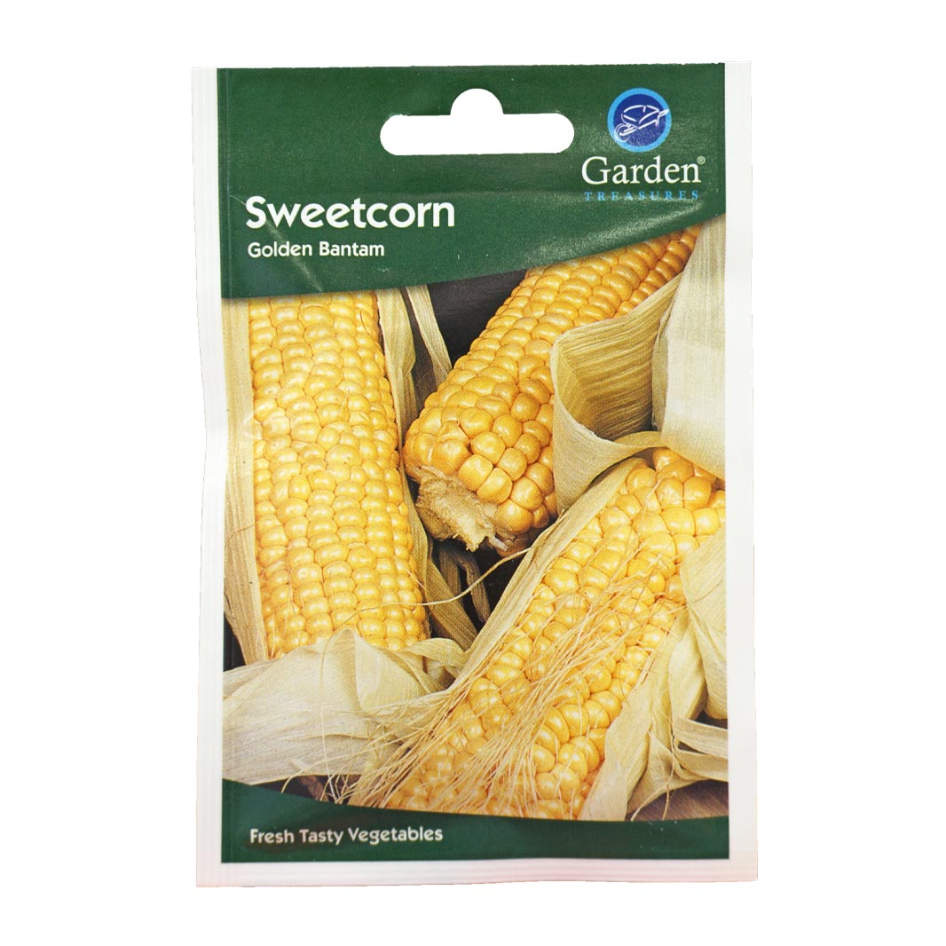 Sweetcorn (Golden Bantam) Seeds (90p each or 5 for £4)