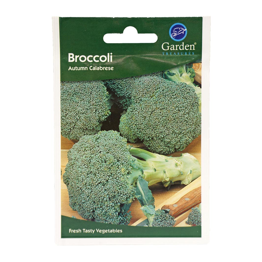 Broccoli (Autumn Calabrese) Seeds (90p each or 5 for £4)